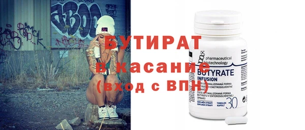 шишки Няндома