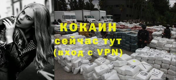 шишки Нягань