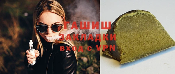 шишки Няндома